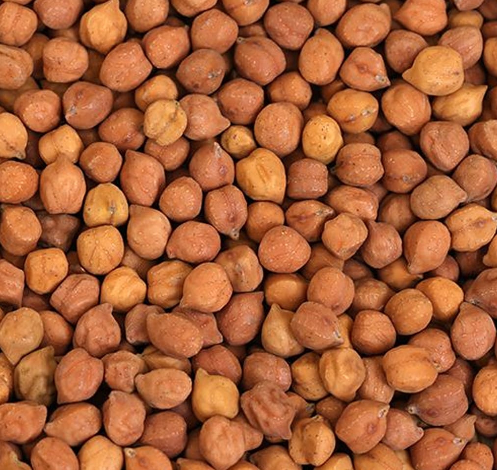 Need kabuli chickpeas, size 8mm 200 mt