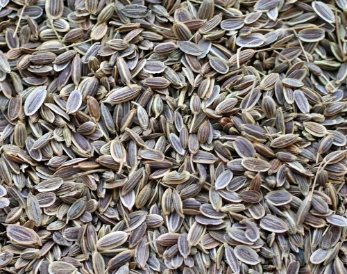 Need supply of star anise and cinnamon sticks, premium quality