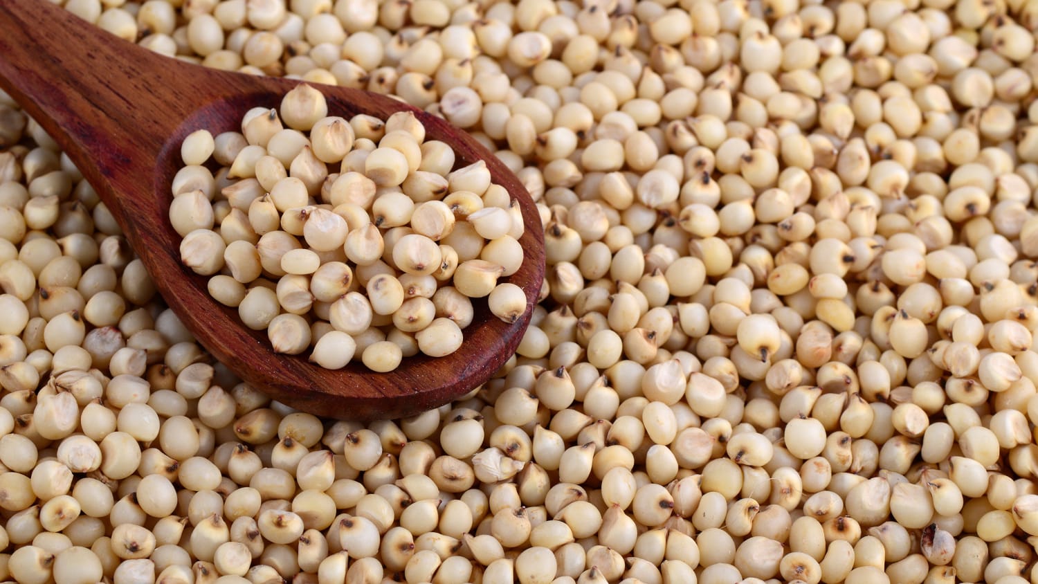 Exporting non-GMO soybeans