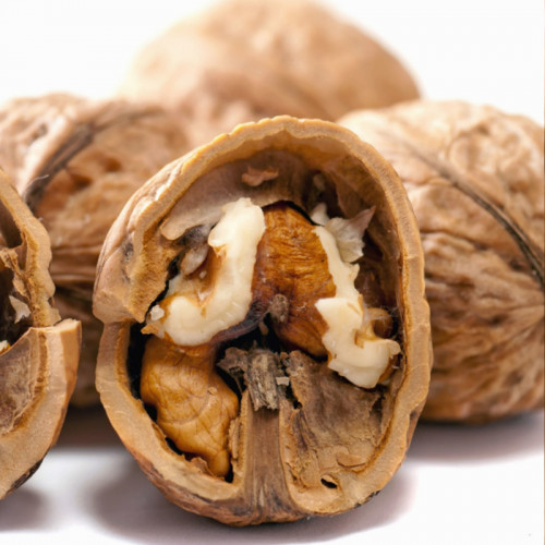 Looking for light color walnuts in shell, hand-selected, annual requirement 300 MT