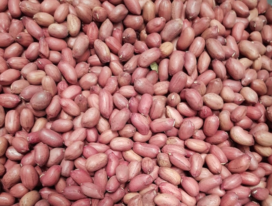 Peanut seeds for oil
