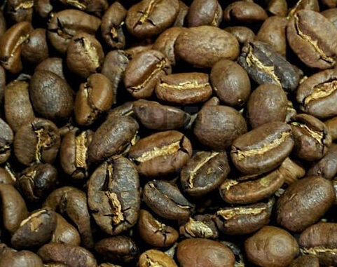 Premium Organic Peruvian Coffee, Arabica SHB EP.