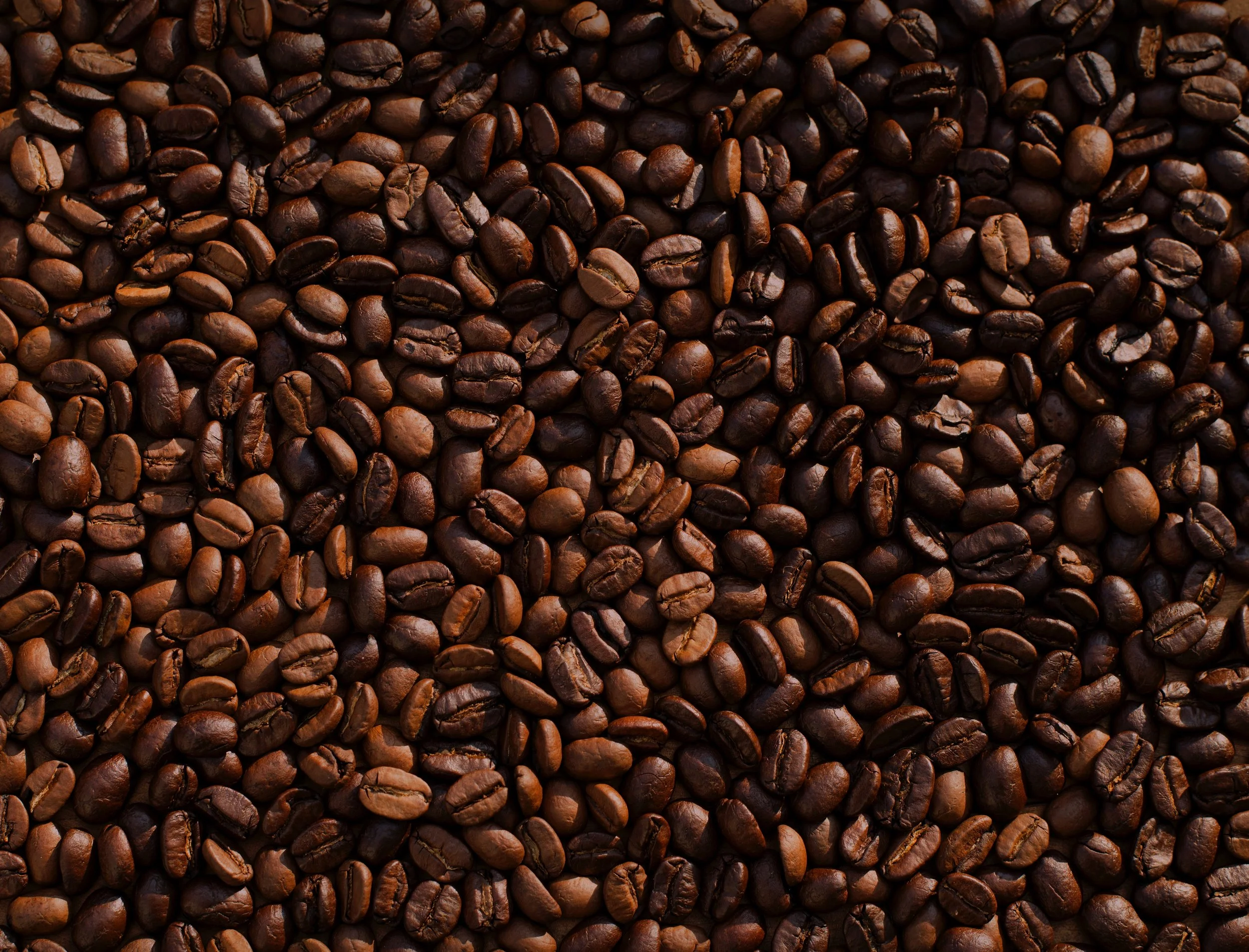 Looking to purchase Robusta Coffee Beans, Grade 1, container load. 1 FCL