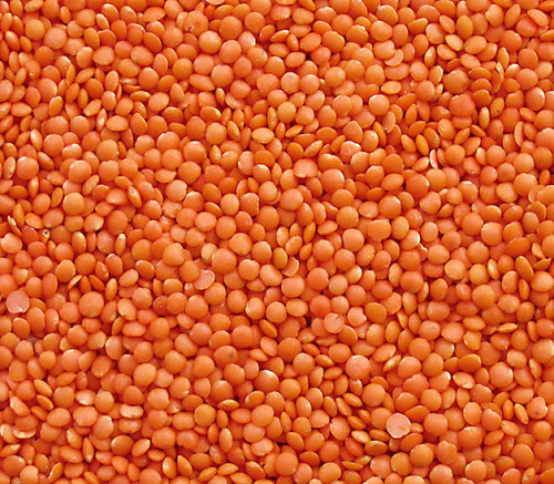 Red lentils (whole & split). 1000 mt